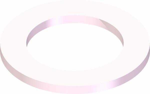 Washer, Nylon .812 ID x 1.25 OD x .080