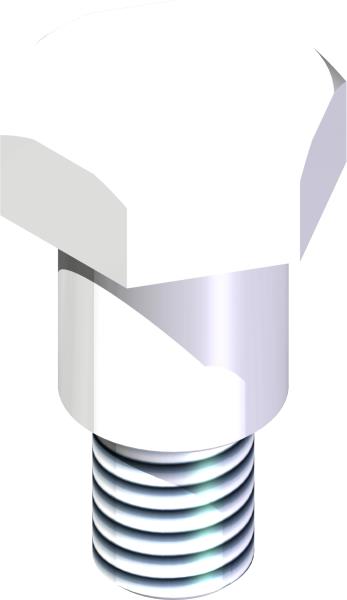 Bolt, Frame
