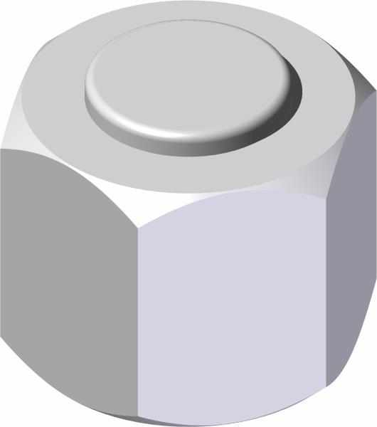 Fitting, Cap -06 ORFS