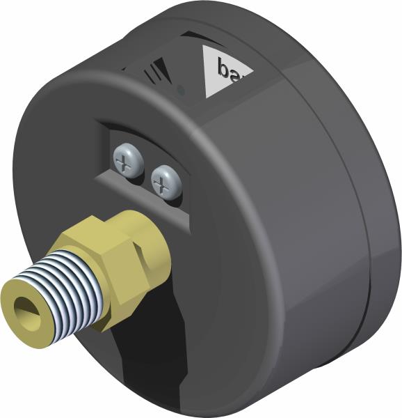 Gauge, Pressure 100 PSI
