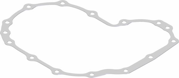 Gasket, Case