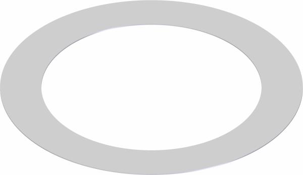 Shim, 2 ID X 2.75 OD X .010 T