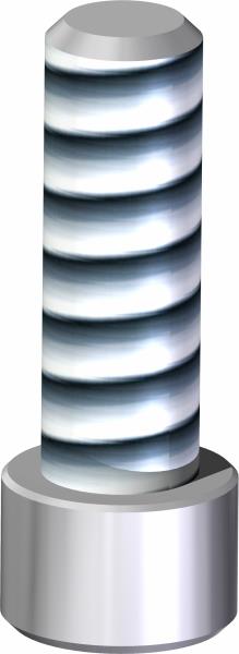 Bolt, SHCS 1/4-20 UNC x 3/4" SS